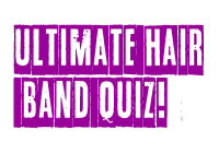 80's Hair Band Quiz image